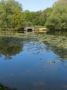 Нижний Кузьминский пруд