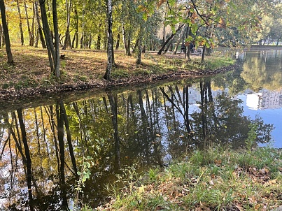 Пруд «Соловьиный»