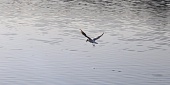 Территорию Ясного пруда благоустроят до конца года