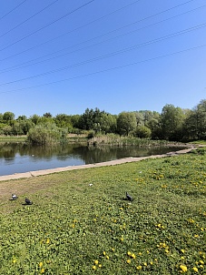 Верхний Люблинский пруд