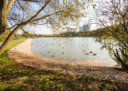 Озеро «Школьное» (Крюковский пруд)