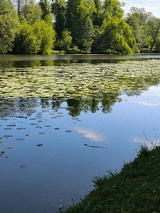 Нижний Кузьминский пруд