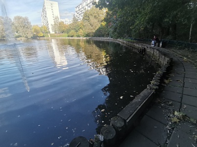 Пруд «Быково болото»