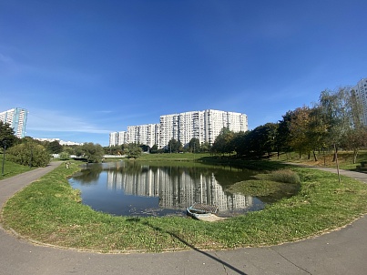 Ясеневские пруды № 1-3