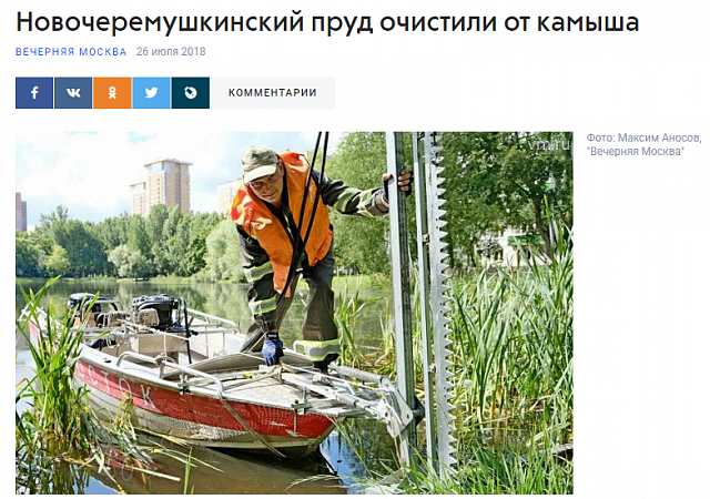 Новочеремушкинский пруд очистили от камыша
