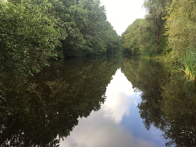 Воронинский большой (Бакулевский) пруд
