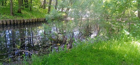 Одоевский (Голубинский) пруд