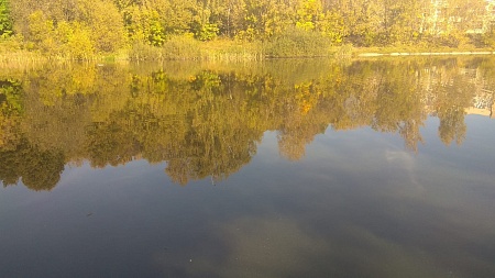 Оленьи пруды №№ 2-6