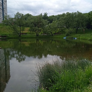 Ясеневские пруды № 1-3