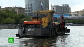 Мусор, ветки и удивительные находки: как работает коммунальный флот Москвы
