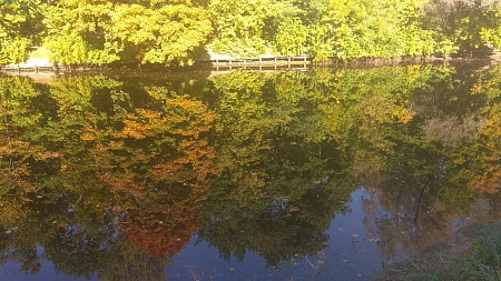 Оленьи пруды №№ 2-6