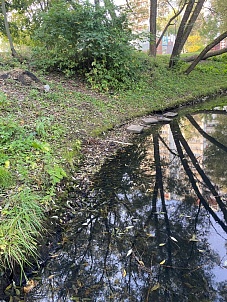 Пруд «Троицкий»