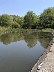 Верхний Люблинский пруд