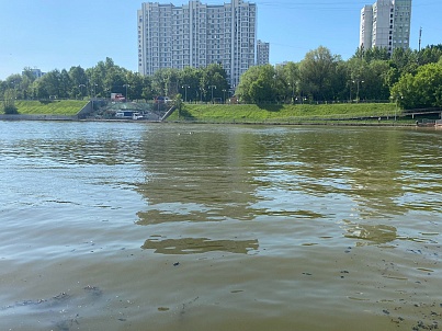 Пруд Чертаново-0 (Малый Чертановский)