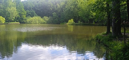 Одоевский (Голубинский) пруд