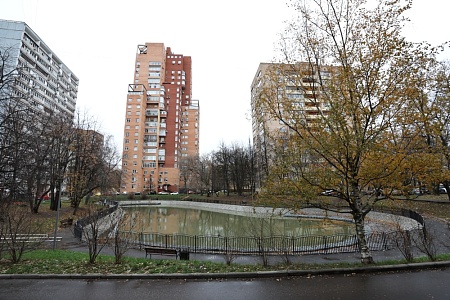 Пруд 15 кв-л Ленинского проспекта