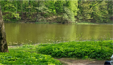 Верхний Кузьминский пруд