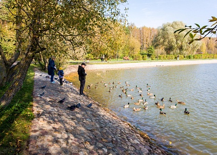 Озеро «Школьное» (Крюковский пруд)