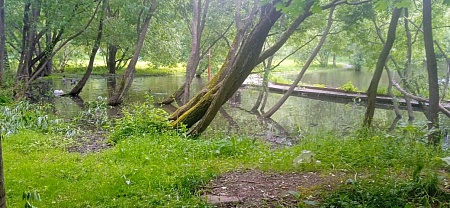 Новоясеневский пруд