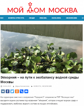 Эйхорния – на пути к экобалансу водной среды Москвы