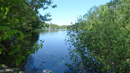 Шибаевский пруд