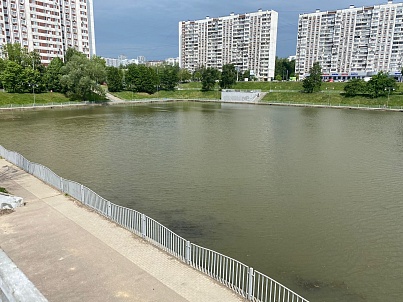 Пруд Чертаново-0 (Малый Чертановский)